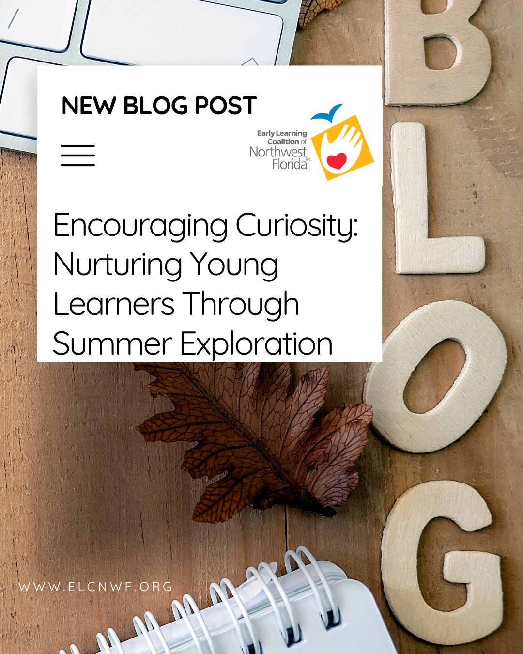 Encouraging Curiosity: Nurturing Young Learners Through Summer Exploration